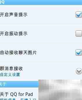 QQ for Pad新手入门指南