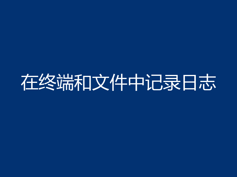 在终端和文件中记录日志