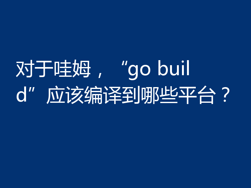 对于哇姆,“go build”应该编译到哪些平台?