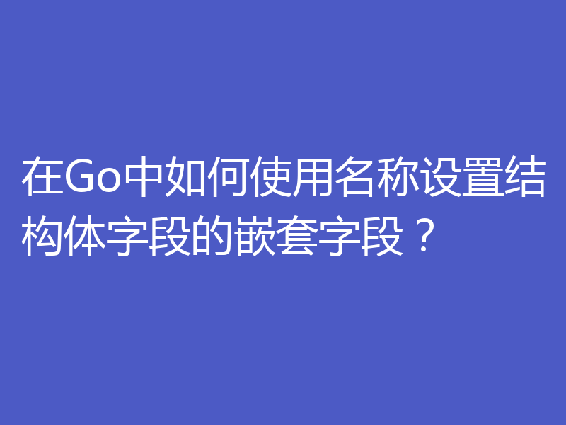在Go中如何使用名称设置结构体字段的嵌套字段?