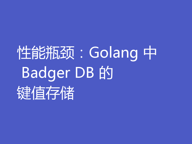 性能瓶颈:Golang 中 Badger DB 的键值存储