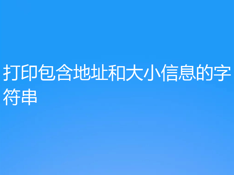 打印包含地址和大小信息的字符串