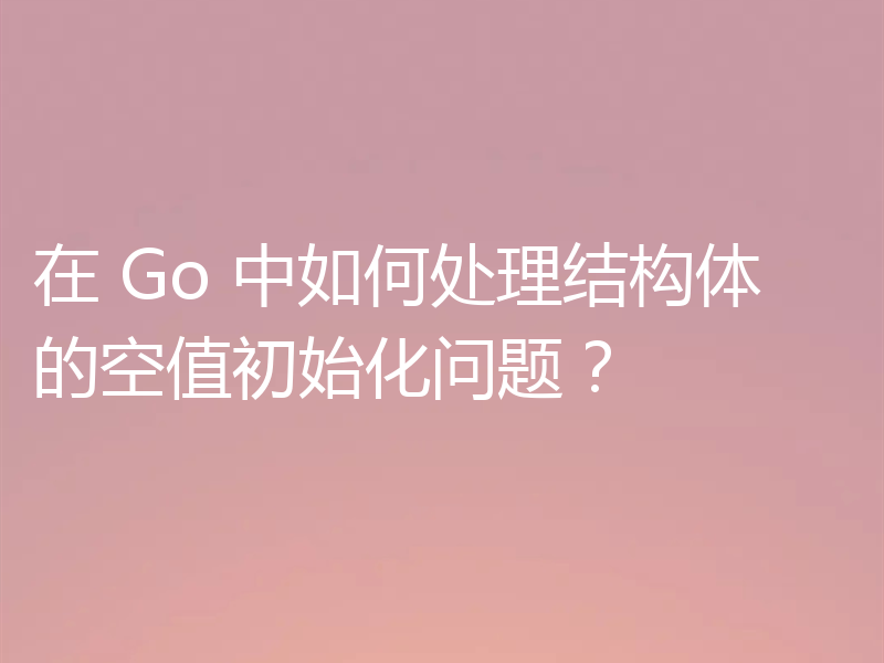 在 Go 中如何处理结构体的空值初始化问题?