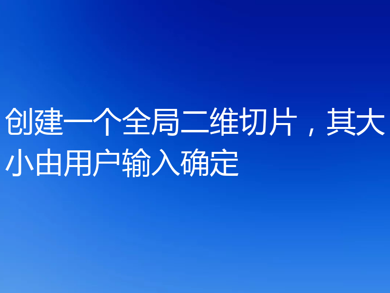 创建一个全局二维切片,其大小由用户输入确定