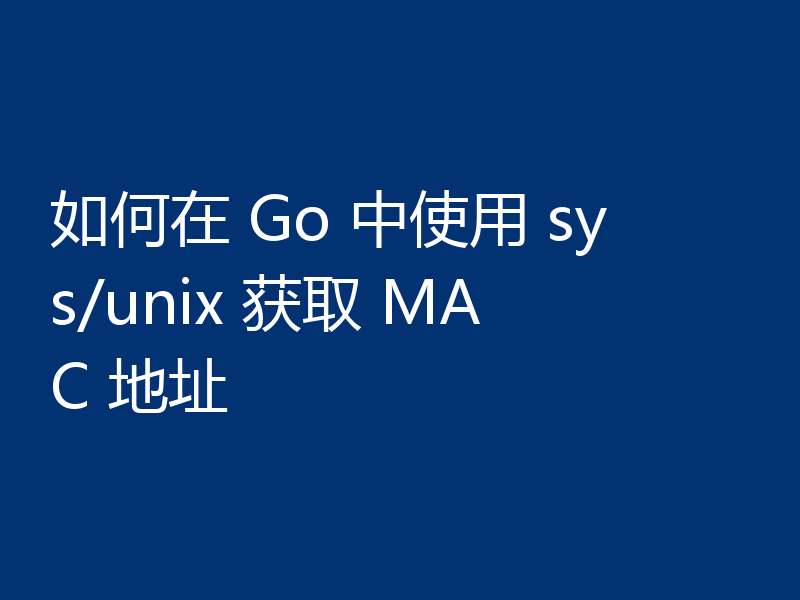 如何在 Go 中使用 sys/unix 获取 MAC 地址