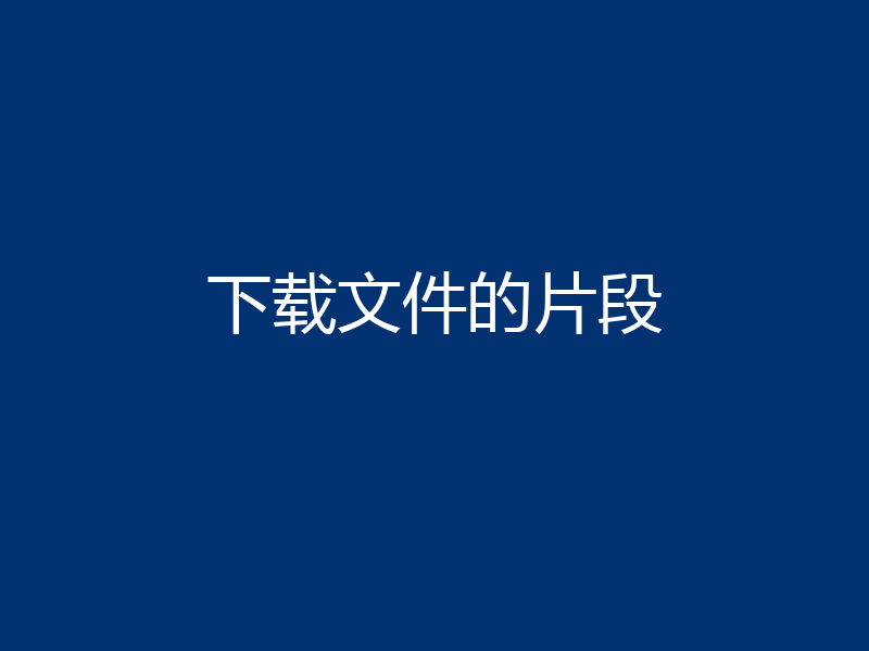下载文件的片段