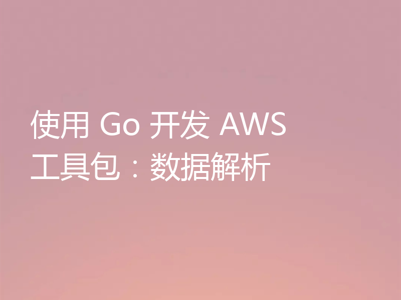 使用 Go 开发 AWS 工具包:数据解析