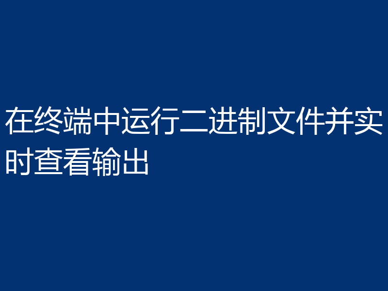 在终端中运行二进制文件并实时查看输出