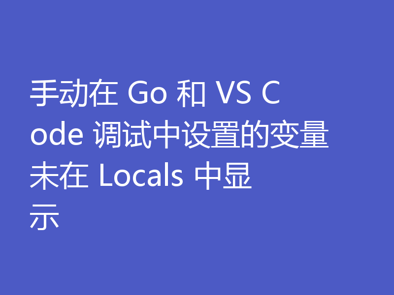 手动在 Go 和 VS Code 调试中设置的变量未在 Locals 中显示