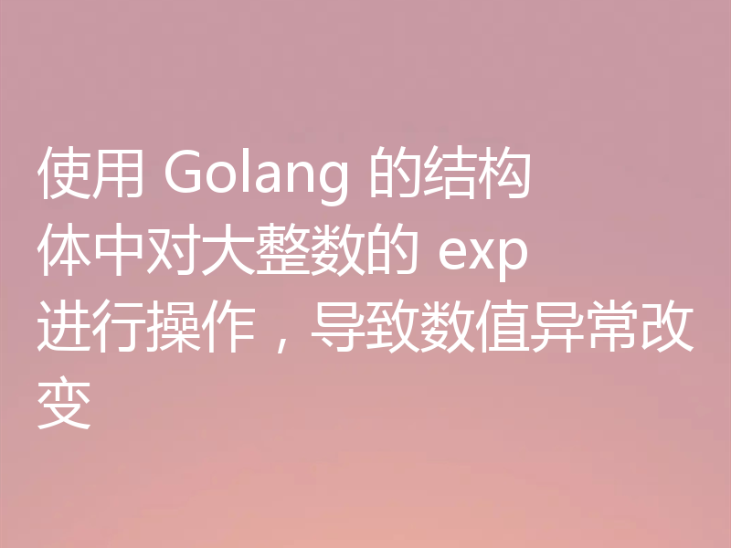 使用 Golang 的结构体中对大整数的 exp 进行操作,导致数值异常改变