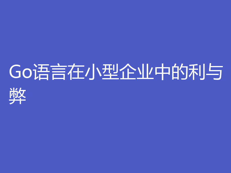 Go语言在小型企业中的利与弊
