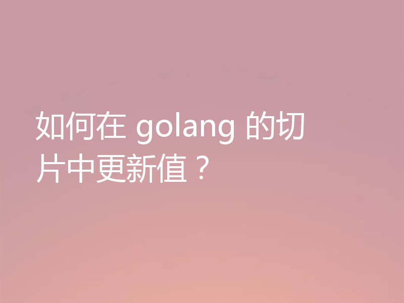 如何在 golang 的切片中更新值?