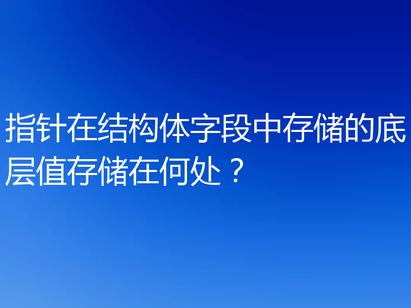 指针在结构体字段中存储的底层值存储在何处?