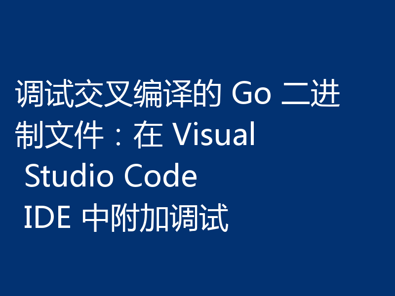 调试交叉编译的 Go 二进制文件:在 Visual Studio Code IDE 中附加调试