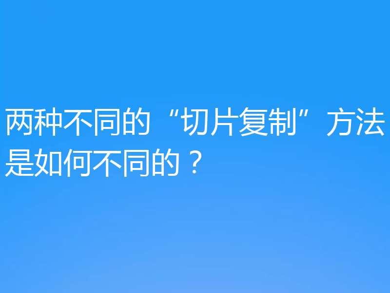 两种不同的“切片复制”方法是如何不同的?