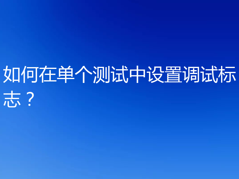 如何在单个测试中设置调试标志?