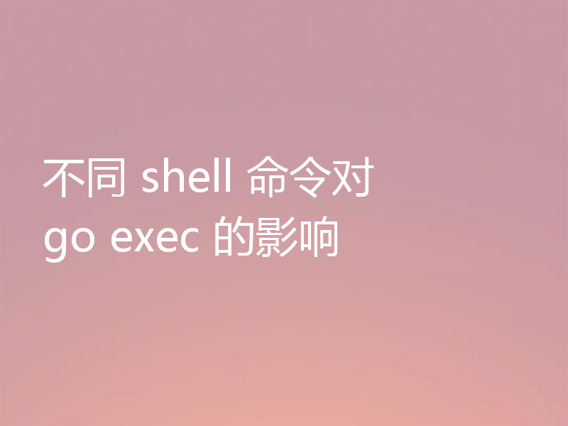 不同 shell 命令对 go exec 的影响