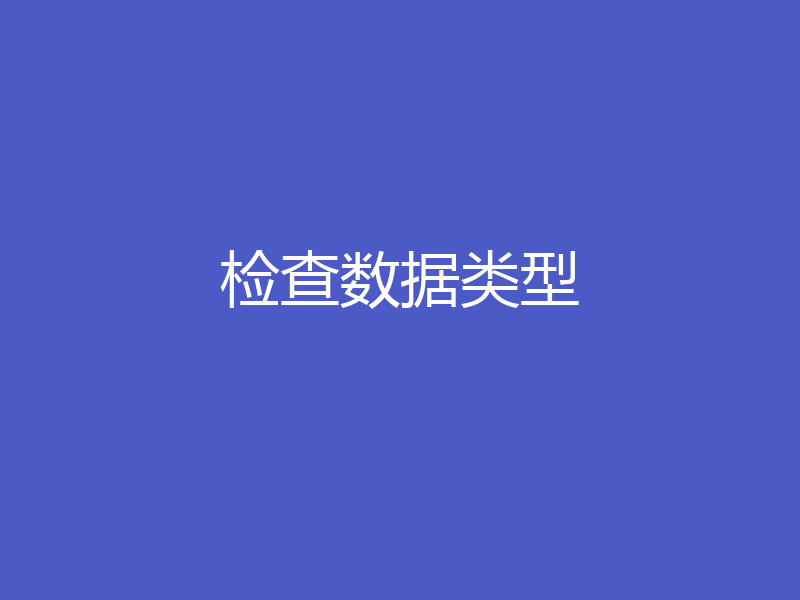 检查数据类型
