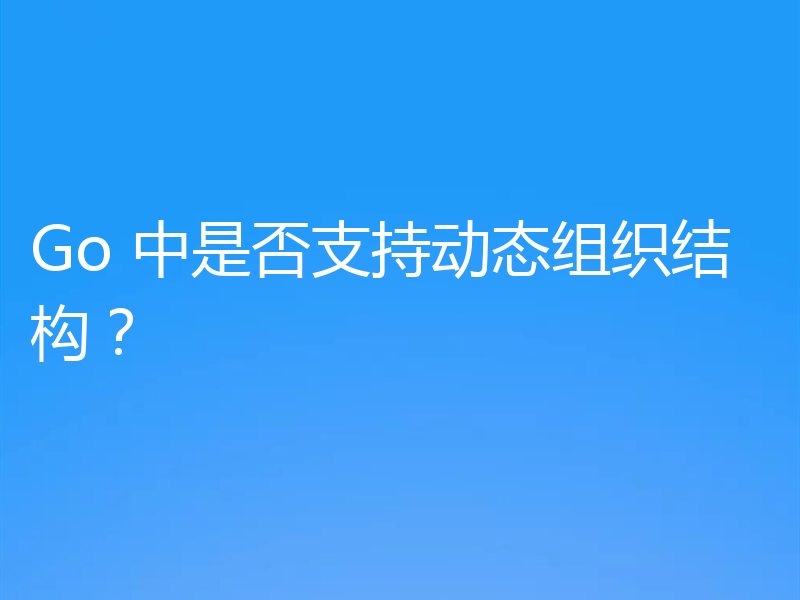 Go 中是否支持动态组织结构?