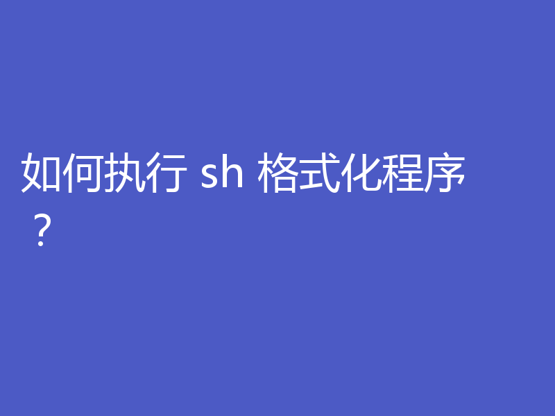 如何执行 sh 格式化程序?