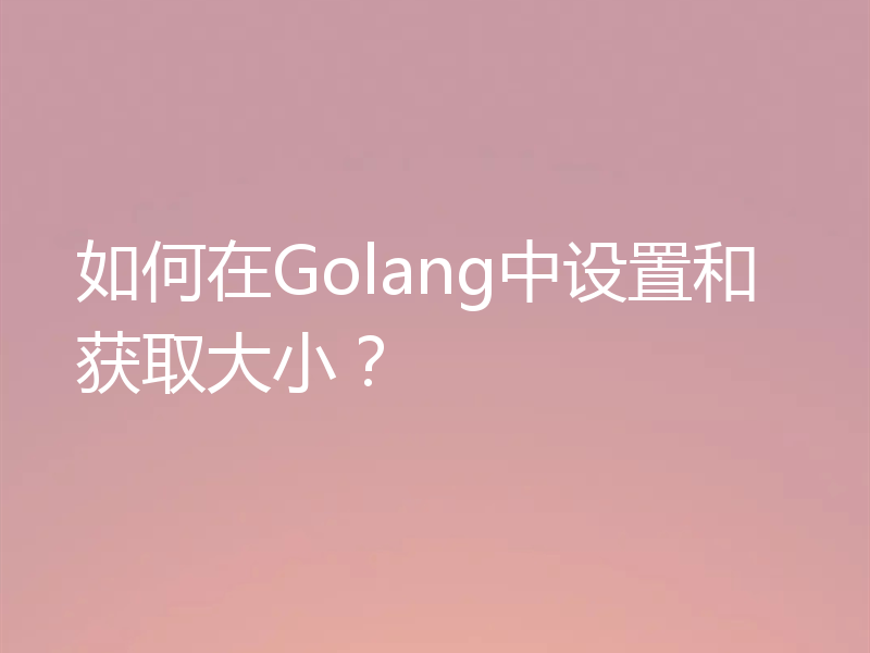如何在Golang中设置和获取大小?
