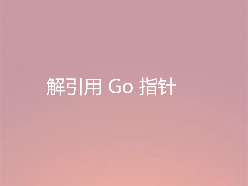 解引用 Go 指针