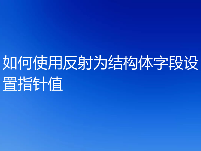 如何使用反射为结构体字段设置指针值
