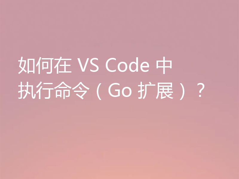 如何在 VS Code 中执行命令(Go 扩展)?