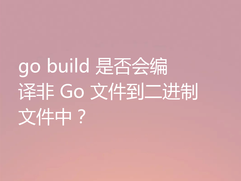 go build 是否会编译非 Go 文件到二进制文件中?