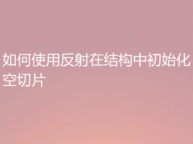如何使用反射在结构中初始化空切片