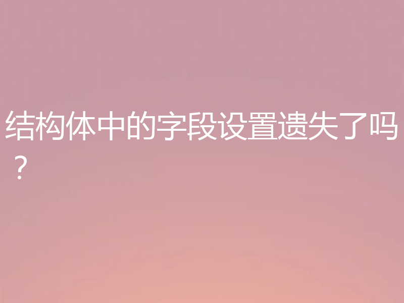 结构体中的字段设置遗失了吗?