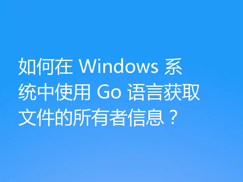 如何在 Windows 系统中使用 Go 语言获取文件的所有者信息?