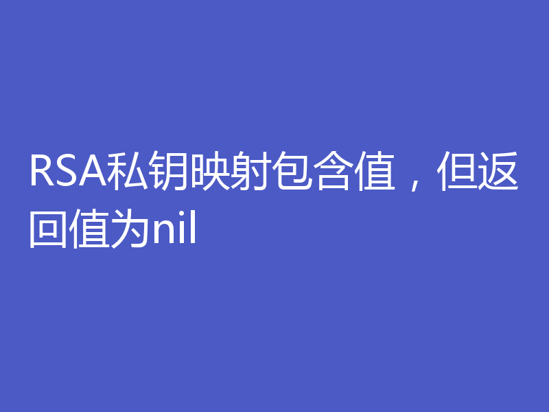 RSA私钥映射包含值,但返回值为nil