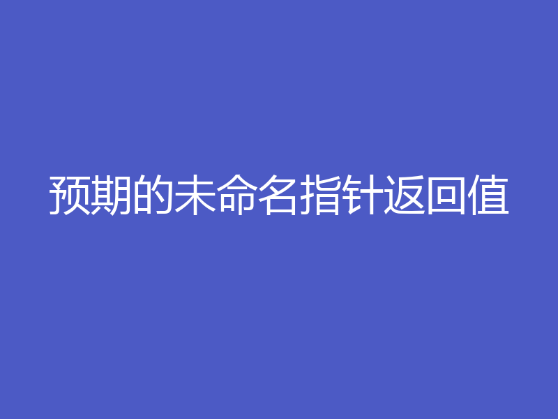 预期的未命名指针返回值