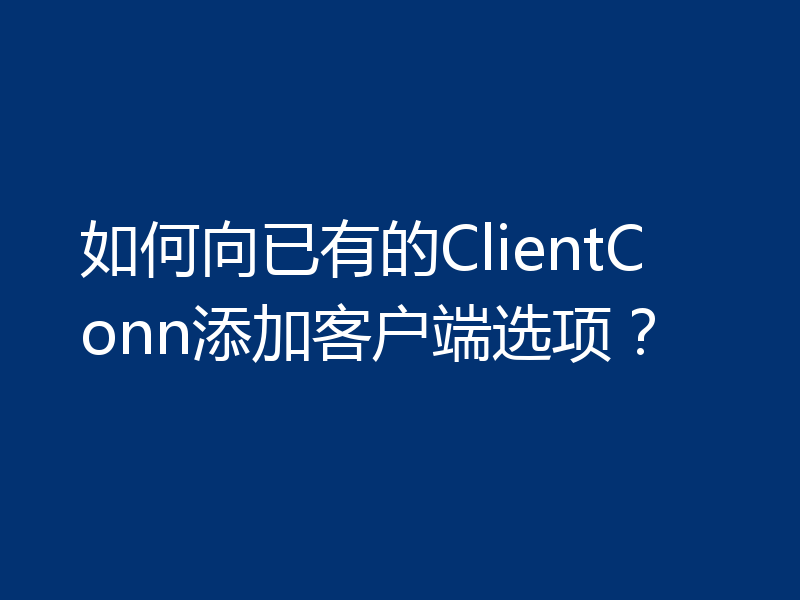 如何向已有的ClientConn添加客户端选项?