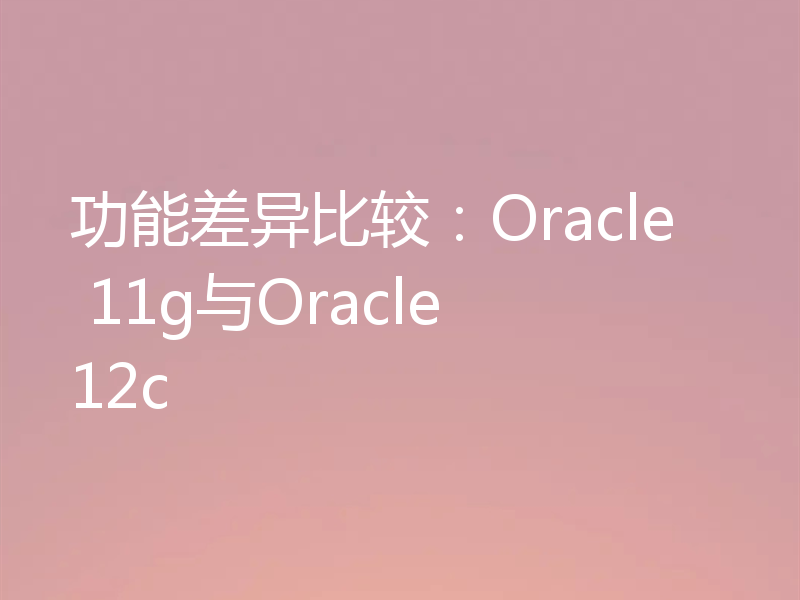 功能差异比较:Oracle 11g与Oracle 12c