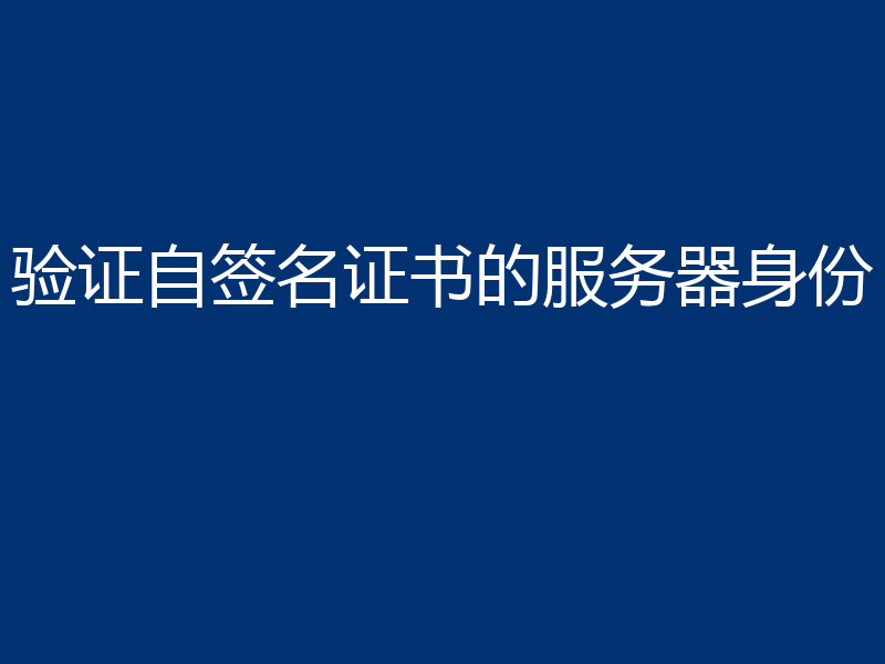 验证自签名证书的服务器身份