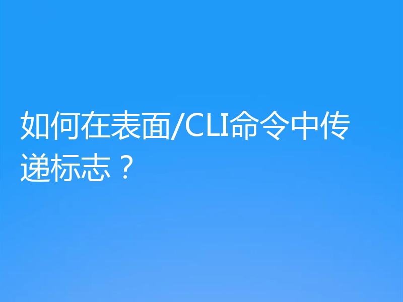 如何在表面/CLI命令中传递标志?
