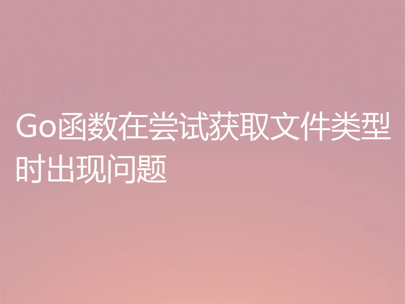 Go函数在尝试获取文件类型时出现问题