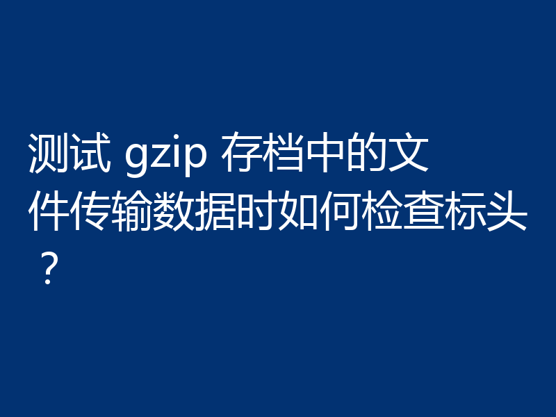 测试 gzip 存档中的文件传输数据时如何检查标头?
