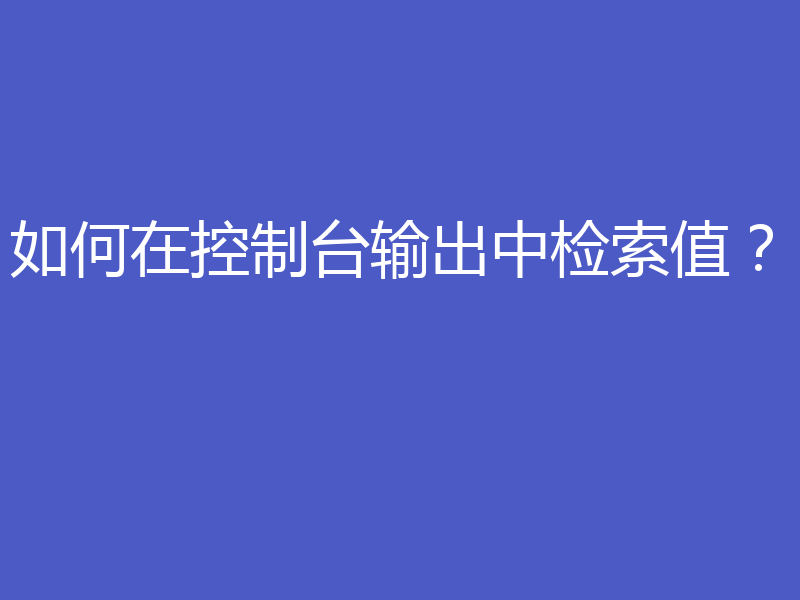 如何在控制台输出中检索值?