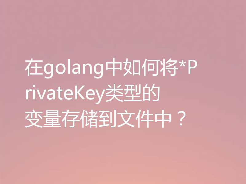 在golang中如何将*PrivateKey类型的变量存储到文件中?