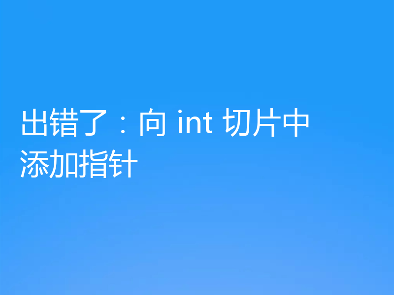 出错了:向 int 切片中添加指针