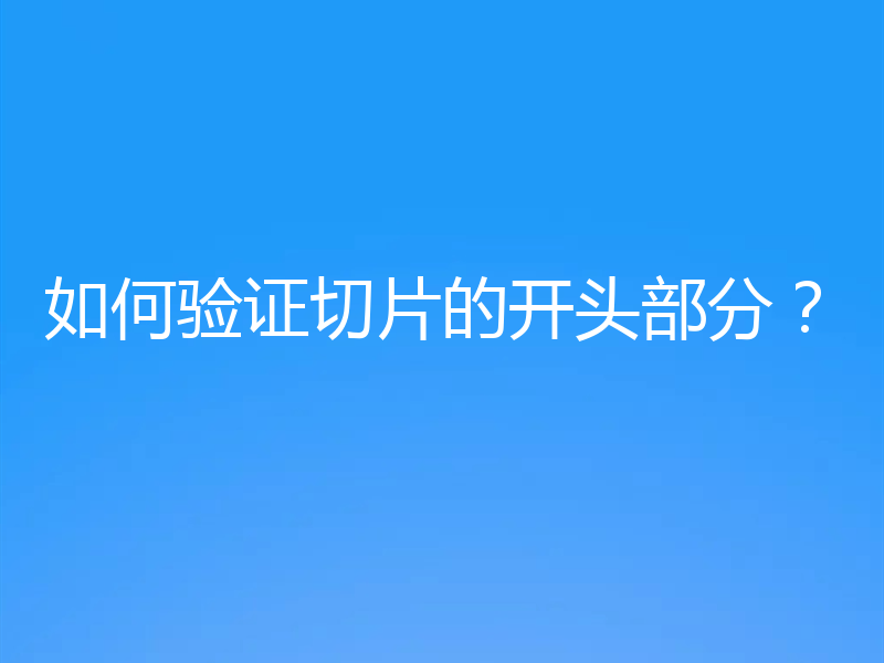 如何验证切片的开头部分？