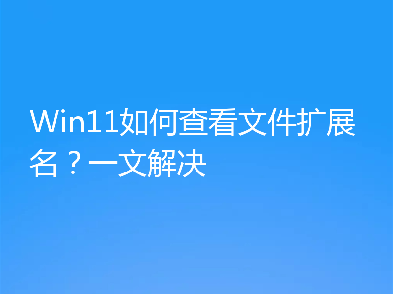 Win11如何查看文件扩展名?一文解决