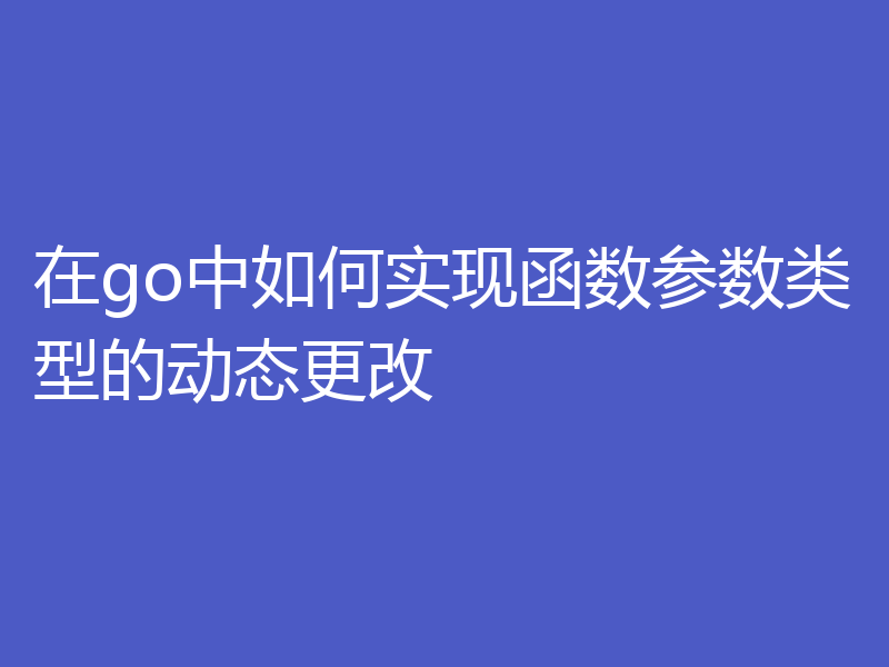 在go中如何实现函数参数类型的动态更改