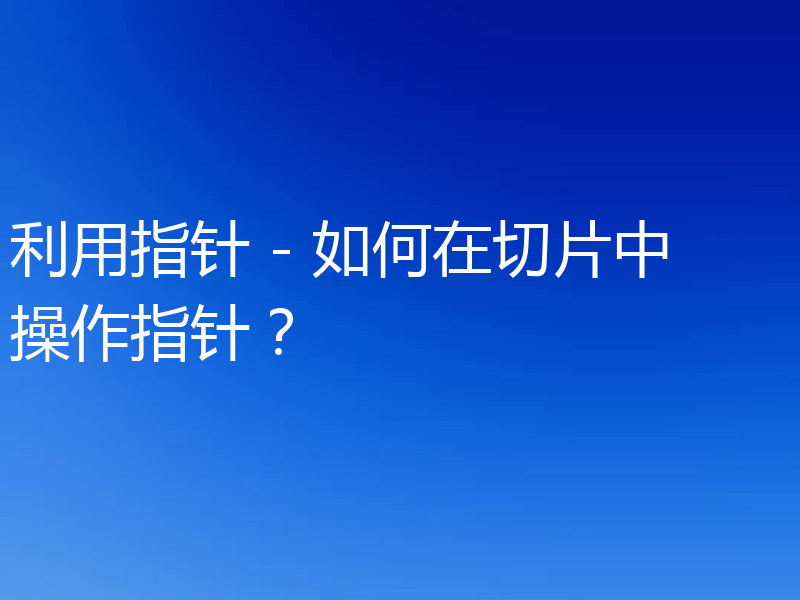 利用指针 - 如何在切片中操作指针?
