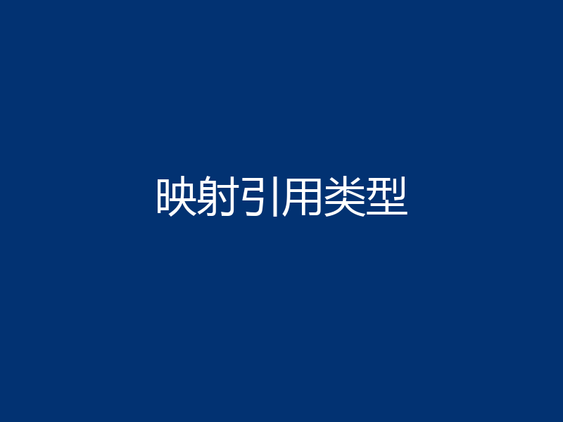 映射引用类型