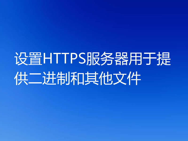 设置HTTPS服务器用于提供二进制和其他文件
