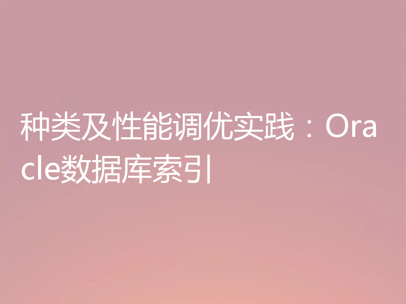 种类及性能调优实践：Oracle数据库索引